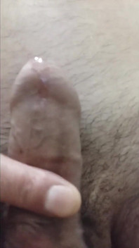 Beautiful Horny Big Dick Wants Hairy Cat