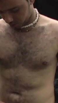 Gorillas Sc3