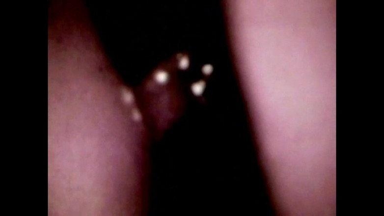 The Unforgettable: Vahşi Tay