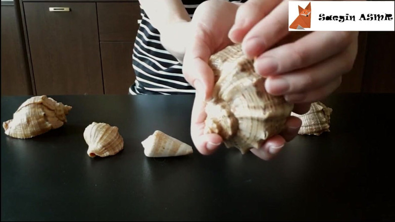 Saegin: 1 [ASMR] Трение вместе и царапает морские раковины (без разговоров)