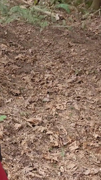 Kencing di dalam ruangan, kencing di luar ruangan