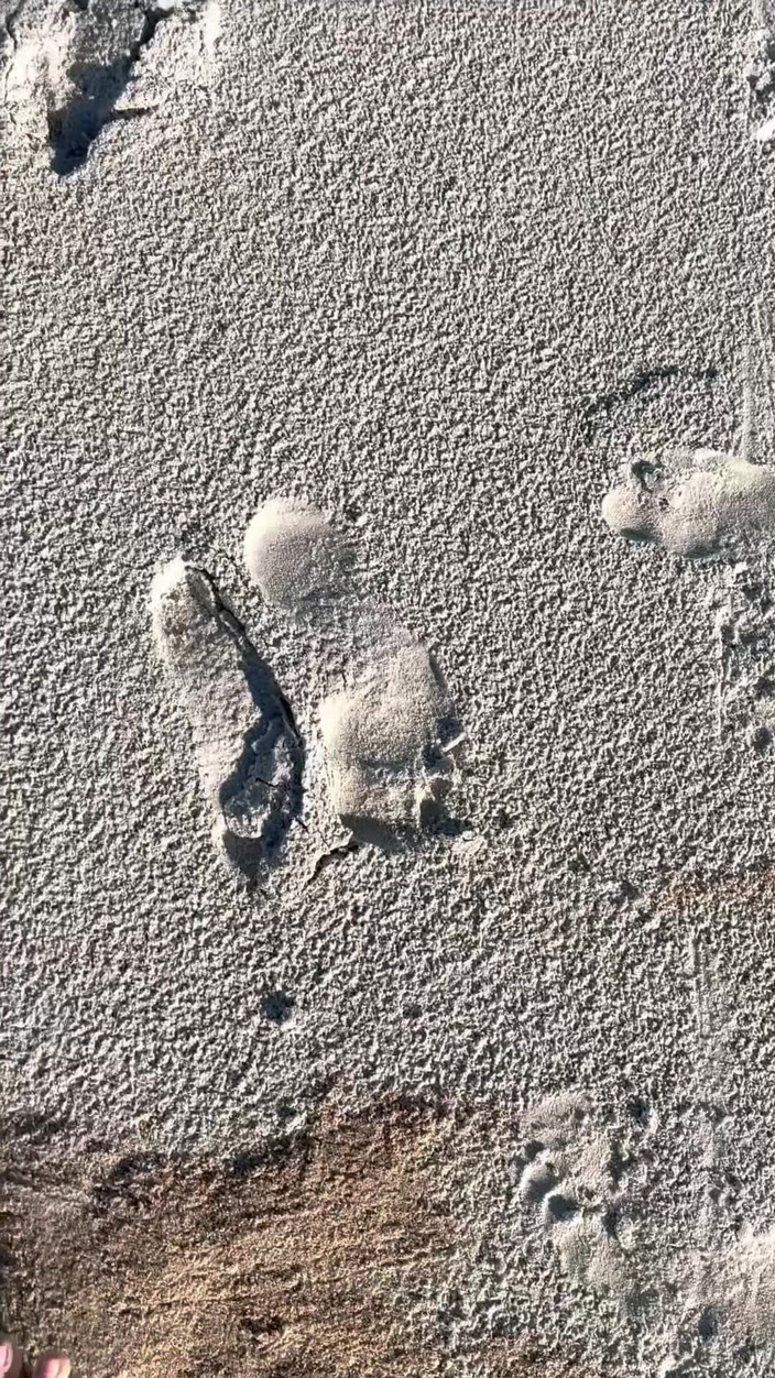 Peppermint Giantess: Comparación de talla 16 pies con impresiones de arena en la...