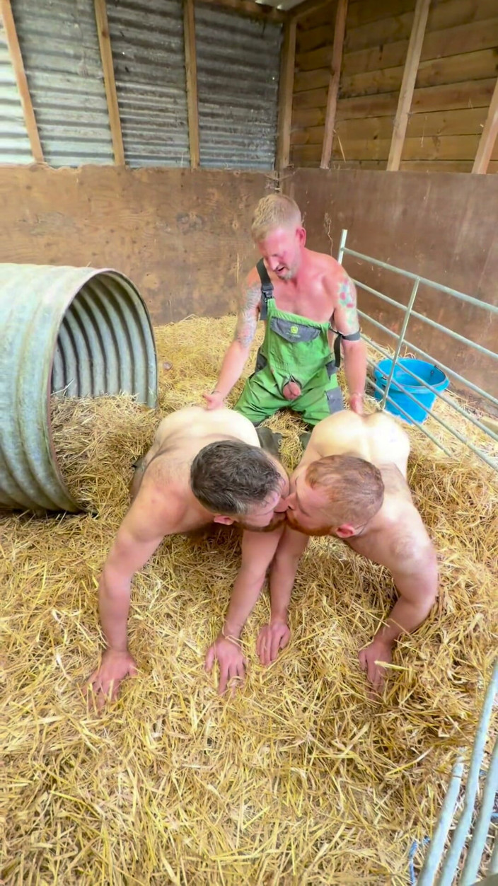 Farmer Sam: Дві свині та фермер