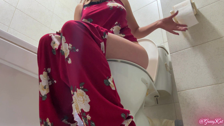 GassyKat: Het dagelijkse toilet seizoen 3 aflevering 3