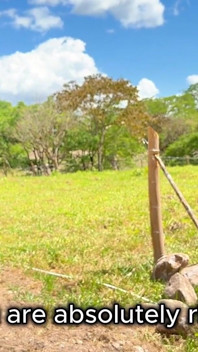 Sexy MILF Desperate for Money Gets Boned by Farmer - POV