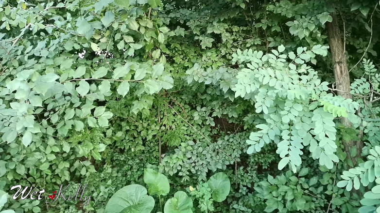 Wet Kelly: Sesso pubblico rischioso vicino alla ferrovia