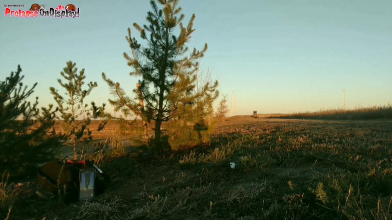 Ass Monkey: Destroyed Asshole