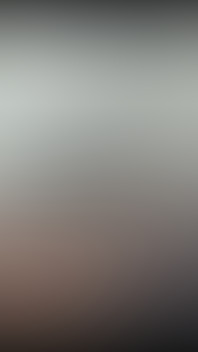 2925199264