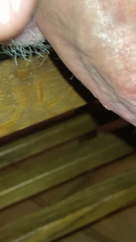Gezwollen hoofd extreem close-up cumshot