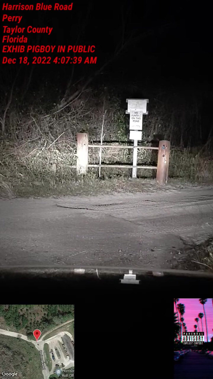 Exhib guy: Public Strip, Rip &amp; Sikanie w Zakładzie Recyklingu