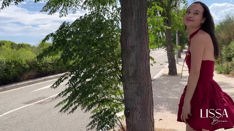 Lissa Brown: Getaran Publik Berlebihan - Kereta - Luar Ruangan - Mainan