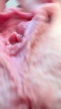 Under Skirt Closeup Pussy and Asshole Facesitting