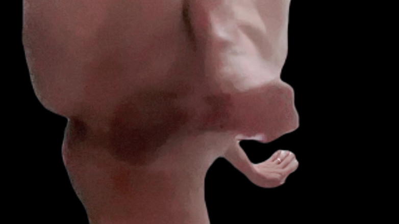 Naughty Cock: Thủ Dâm Đứng Lên