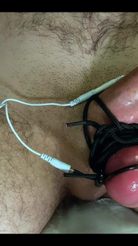 CBT Extreme Estim Insertion Cum