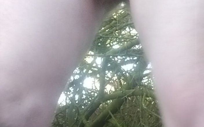 Alexswss: My Dik