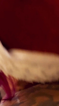 XXX-mas especial - enorme gozada