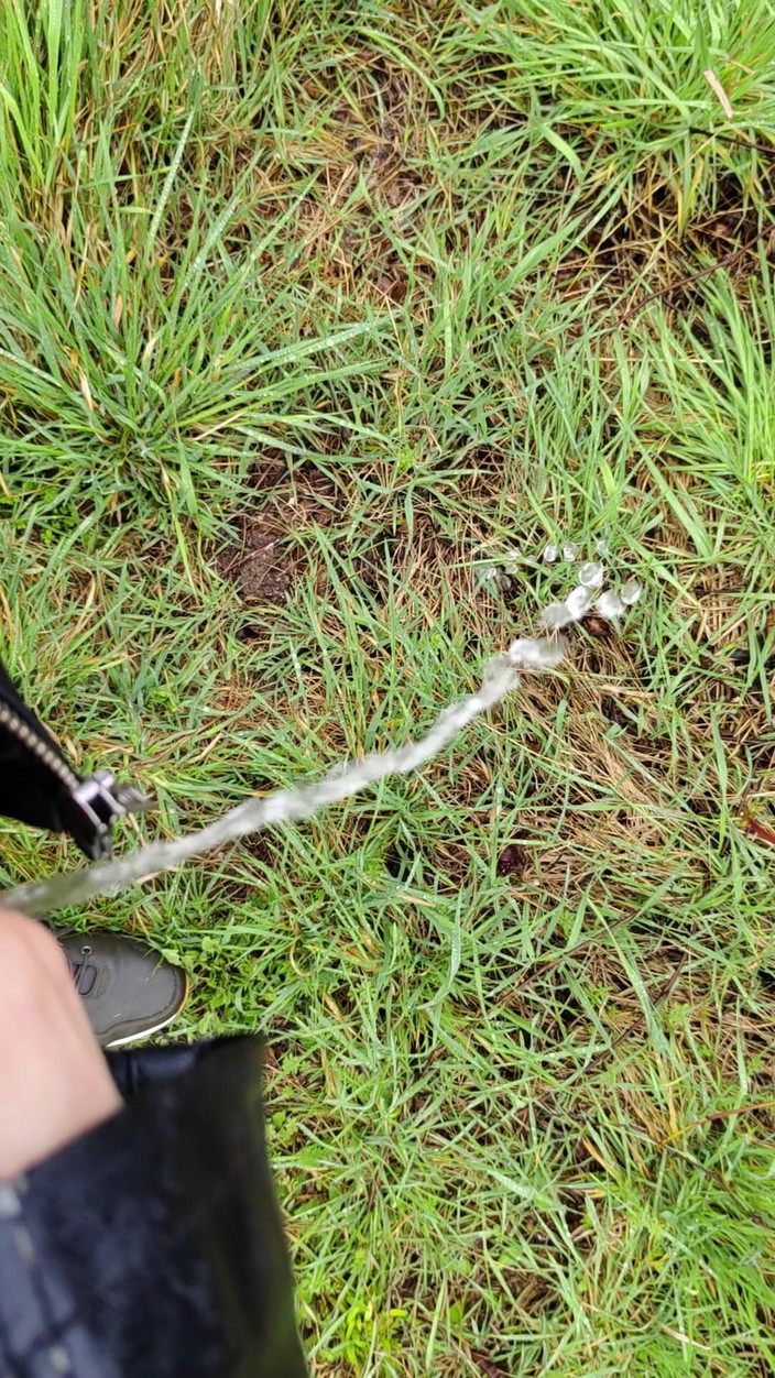 Bayer911: Venkovní chcaní v dešti