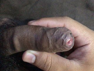 freeblacknew: Một dương vật nhỏ của một người đàn ông trẻ thích xuất...