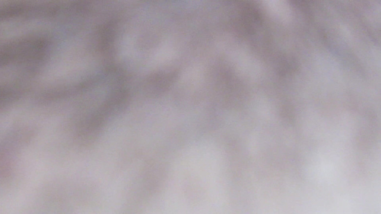 Cuteblonde666: Close up ekstrem di memek berbuluku