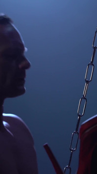 Cassie a boxer