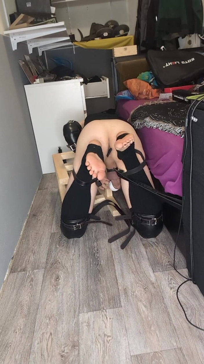 AJ_the_catgirl: Bedto giường dildo trong muzzel humping đũa phép
