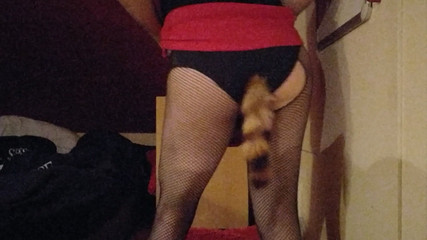 Joslin: シシー・ジョスリンがテールバットプラグで踊る