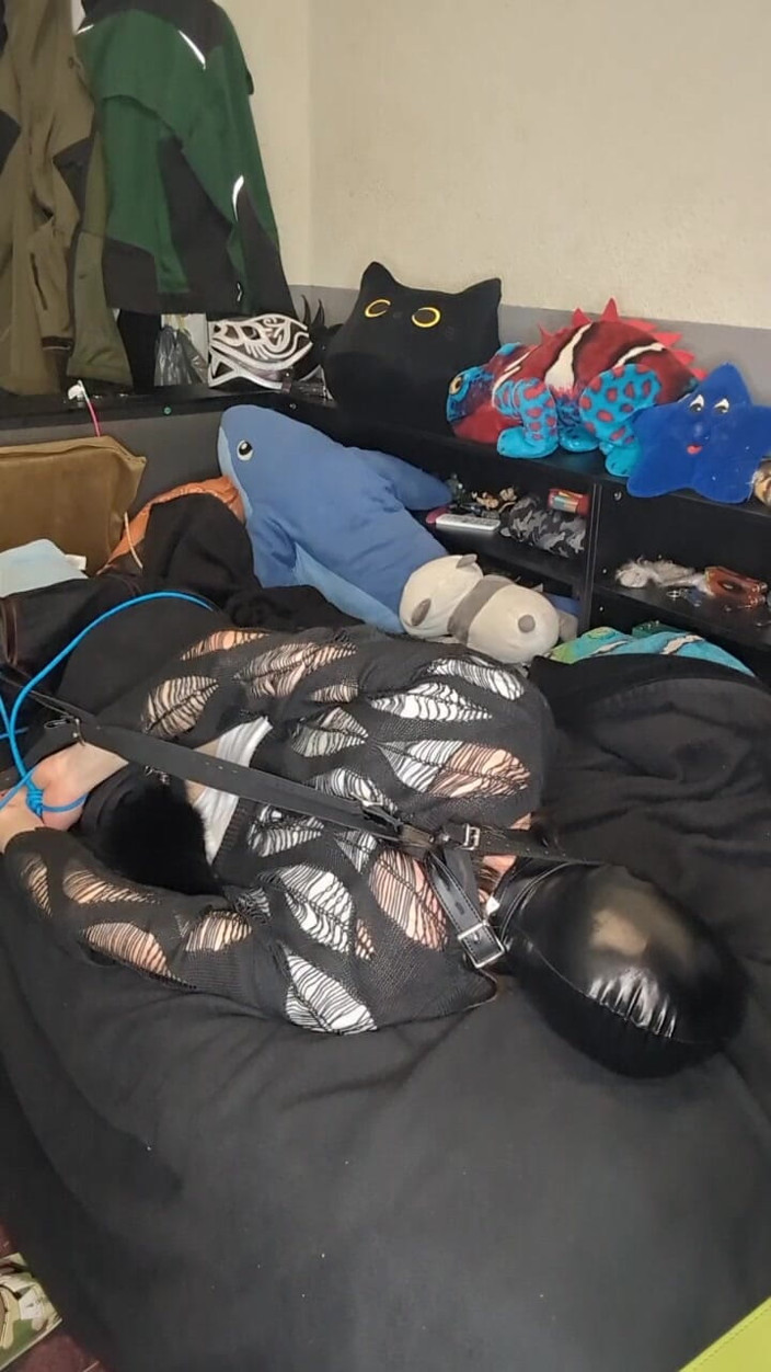AJ_the_catgirl: Trying Head Harnes Hogtie