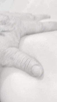 Cưỡi con quái vật stapon