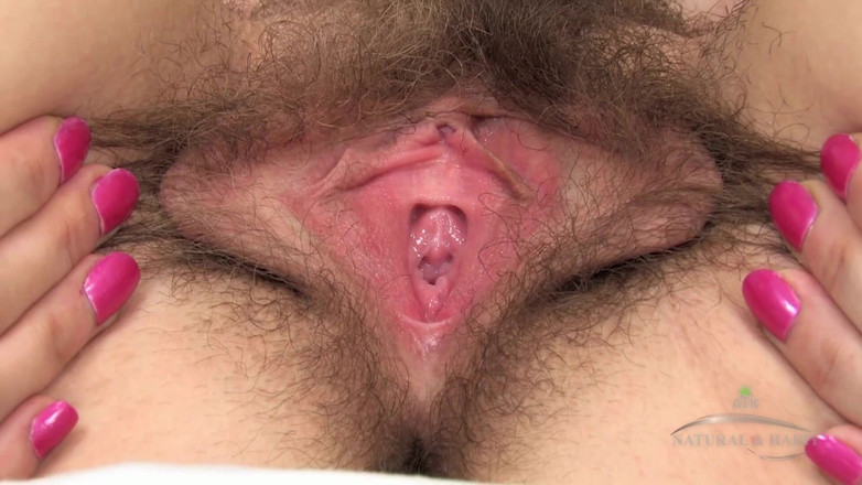 ATK Hairy: 业余