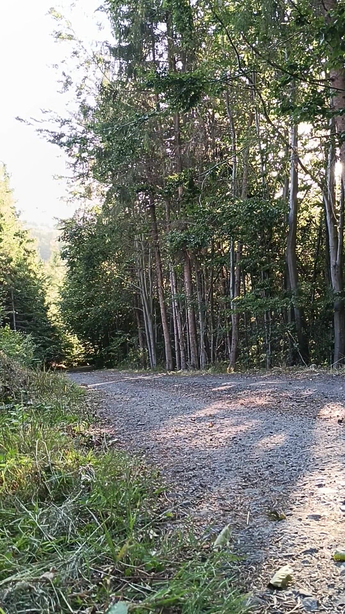 kickerscooter: Une motarde se masturbe dans la nature