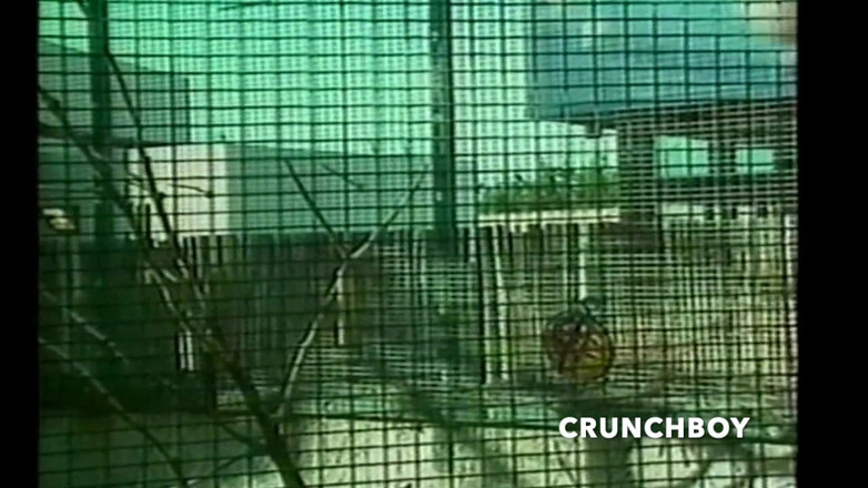 First bisex experience with friend: Soirée amatrice bisexuelle avec un gay baisé par hétéro et...