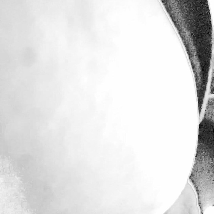 DnA: Velký zadek dildo