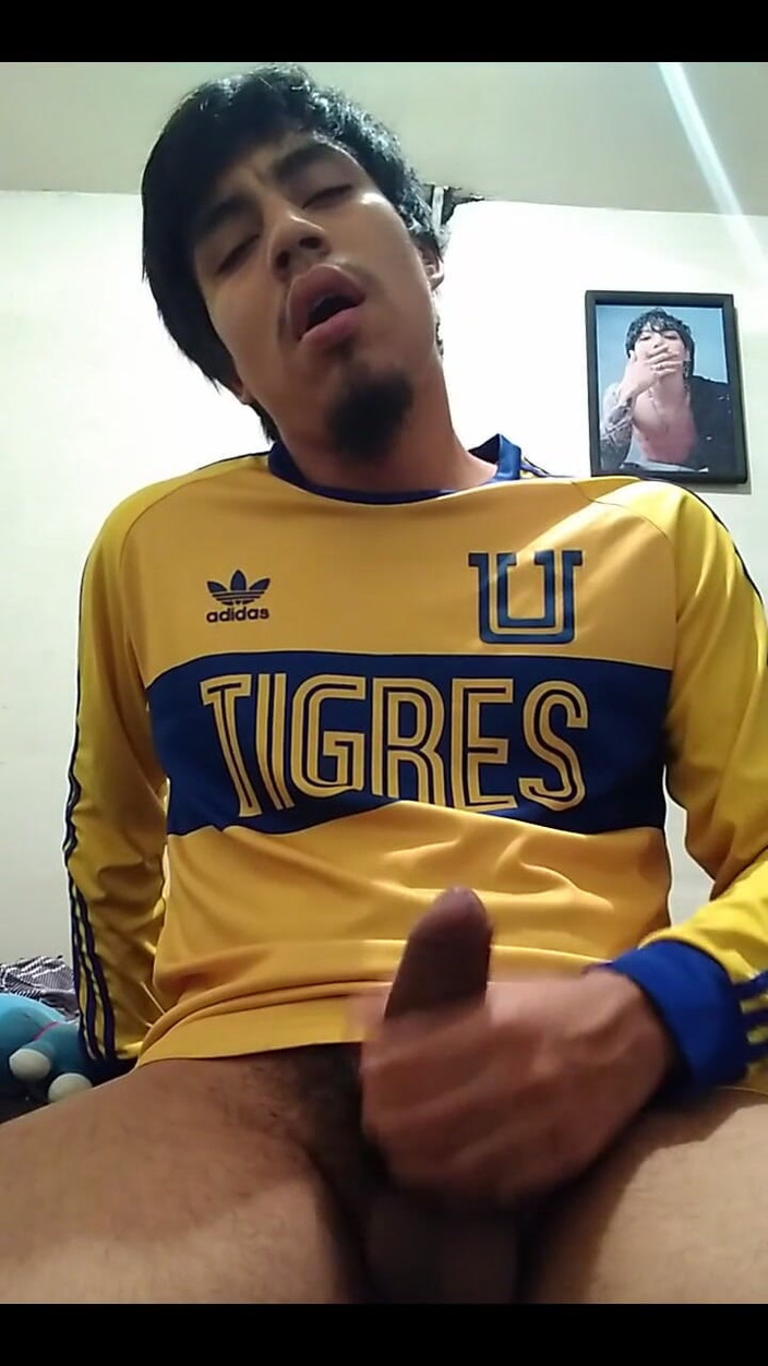 AlexAlejandro13: Kom igen Tigres, jag kommer rik tillbaka.