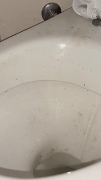 Licking Dirty Floor and Toilet, Flashing Head in It