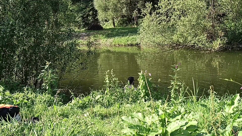 kickerscooter: Nahá pláž