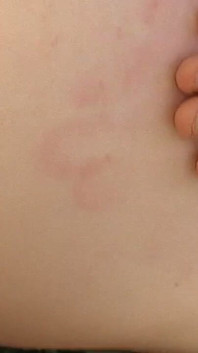 Brunetka roztleskávačka má hluboký anál a creampie