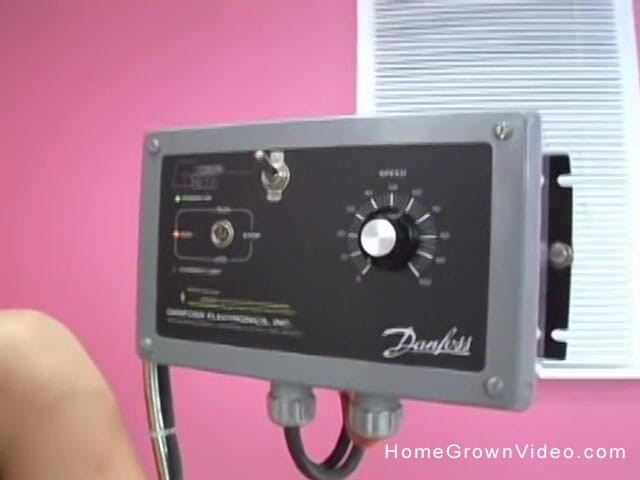 Homegrown Swingers: Paris si fa scopare la figa da una macchina del...