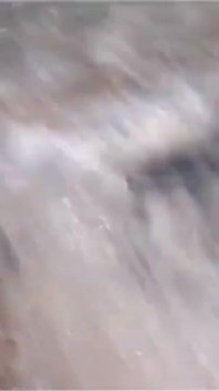 Sexy Video: Calia B Moře