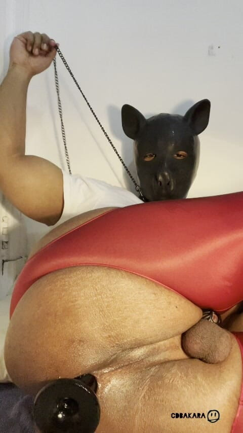 Xana_cd: Masturbace pro idioty (idiot masturbace) Tvrdě na konci, Honění do zadku...