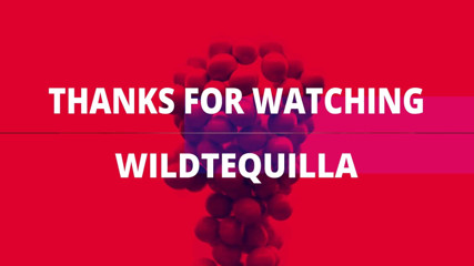 Wild Tequilla: Has sex with girlfriend while she is in bed