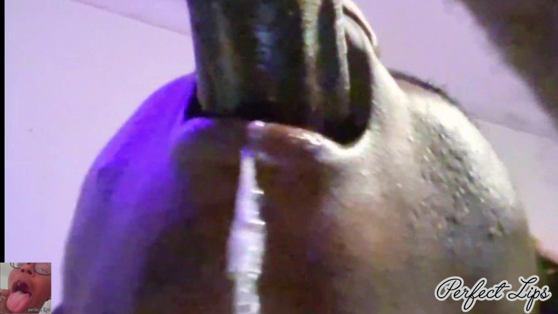 Wildwood21519: Deepthroat selamba terbaik yang pernah dilihat