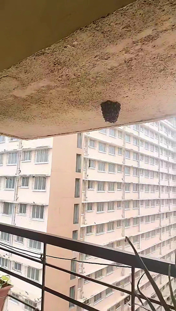 Zoyasazadai: Zoya Shezadi en unas vacaciones hoy en tiempo de diversión...