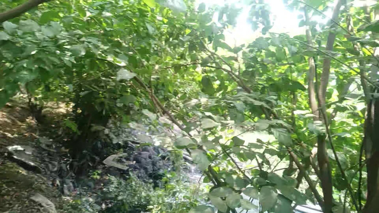 Fucklife_360: Desi masturbazione