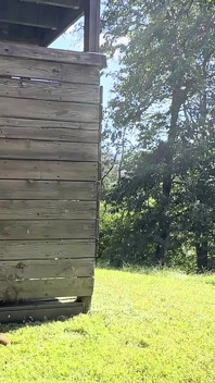 Äta Ogräs