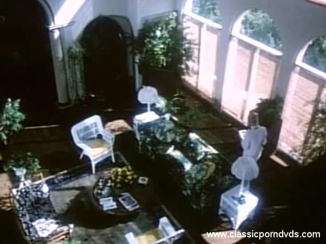 Classic Porn DVDs: Klasik Lucah Dvds Marilyn Chambers tidak pernah kenyang