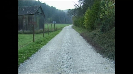 MUSCHI TV - our best full movie: 阴毛浓密的黑发饥渴熟女在他操她之前吮吸了一个大硬鸡巴