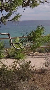 Dick Flash - I Pull Out My Cock in Front of a French Girl... Beach Path and She Helps Me Cum in Mounth Caught!!!