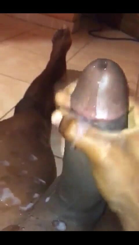 Haydenbbc: Cumshot