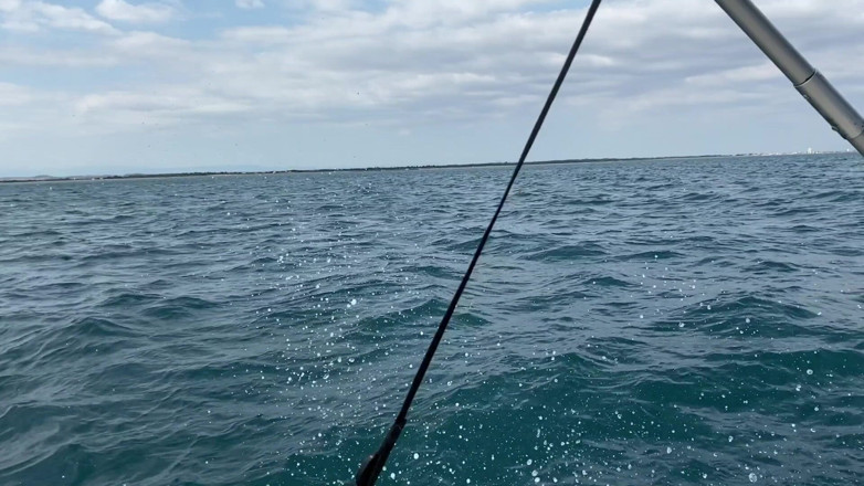 Daphnee Lecerf: My sea trip