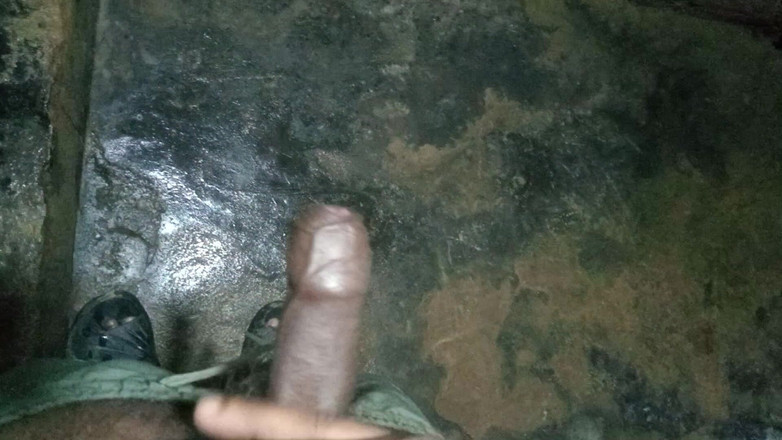 John Denver: デシ・ソロ